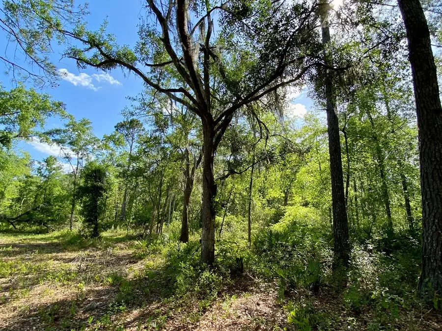 0 Whitewater, Valdosta, GA 31601 - #2