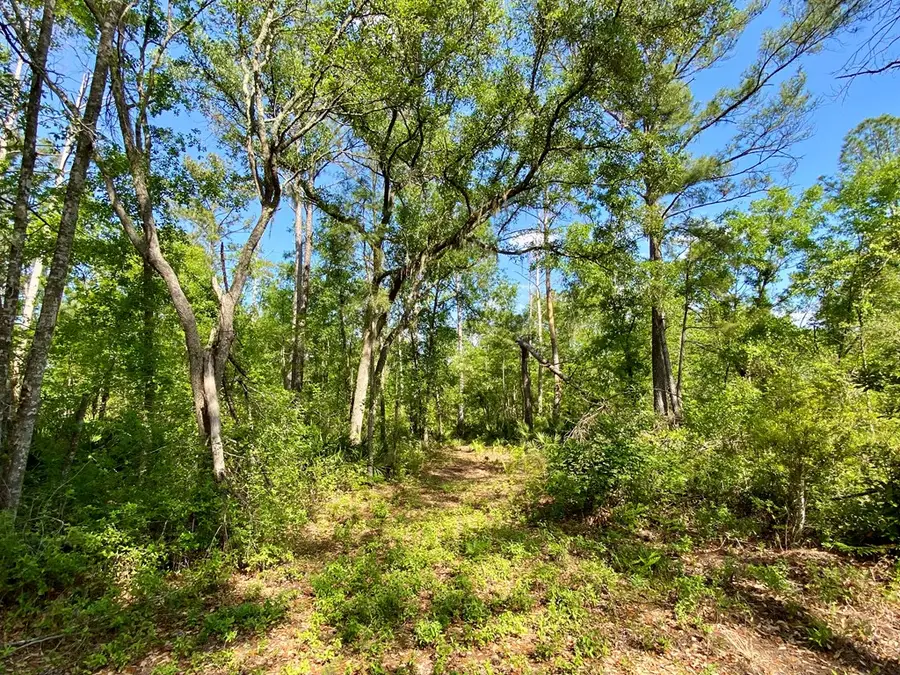 0 Whitewater, Valdosta, GA 31601 - #3