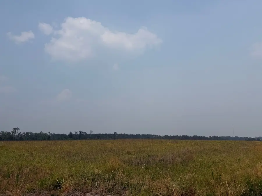 0 Moore Road Tract 1, Naylor, GA 31641 - #3