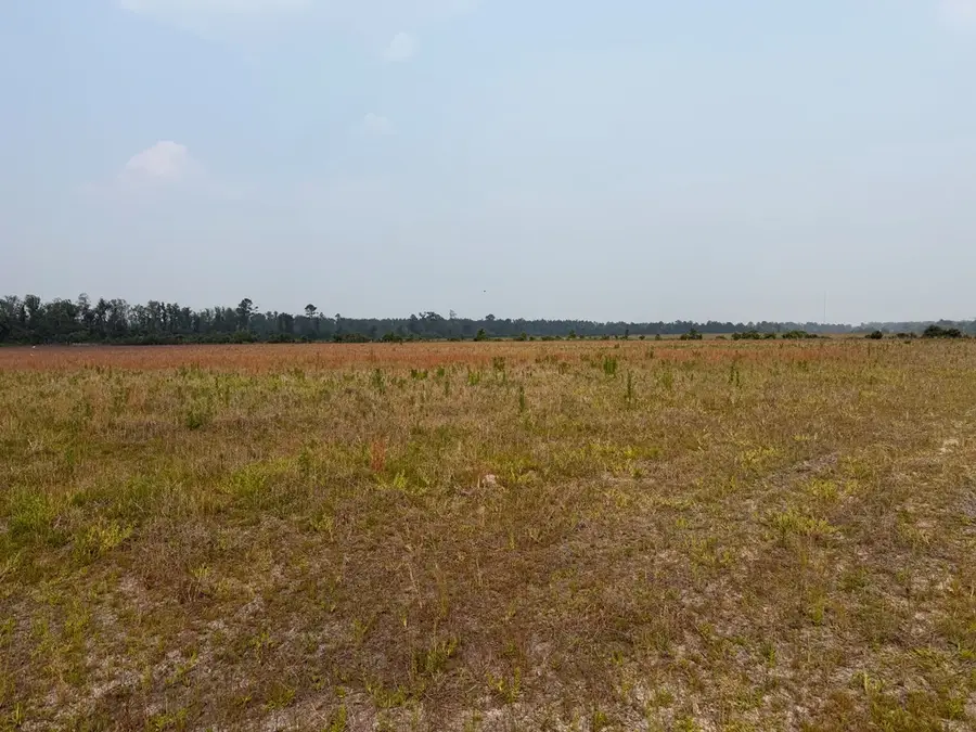 0 Moore Road Tract 5, Naylor, GA 31641 - #2