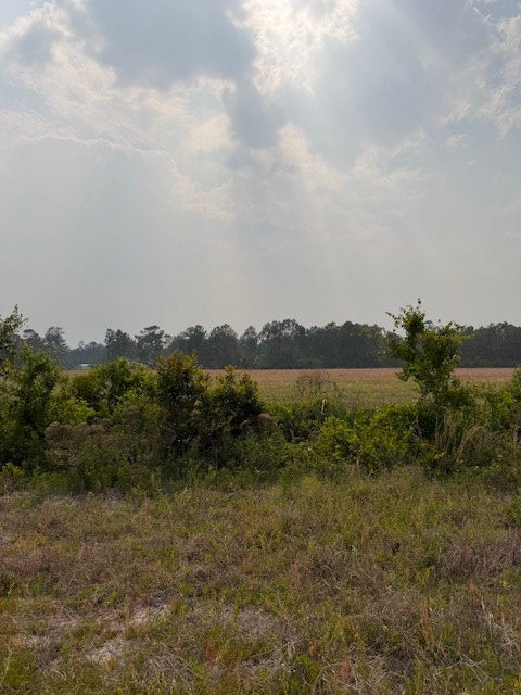 0 Moore Road Tract 2, Naylor, GA 31641 - #3