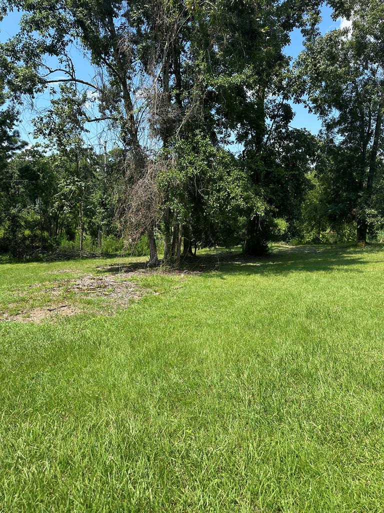 2905 Pebblewood Drive, Valdosta, GA 31602 - #3