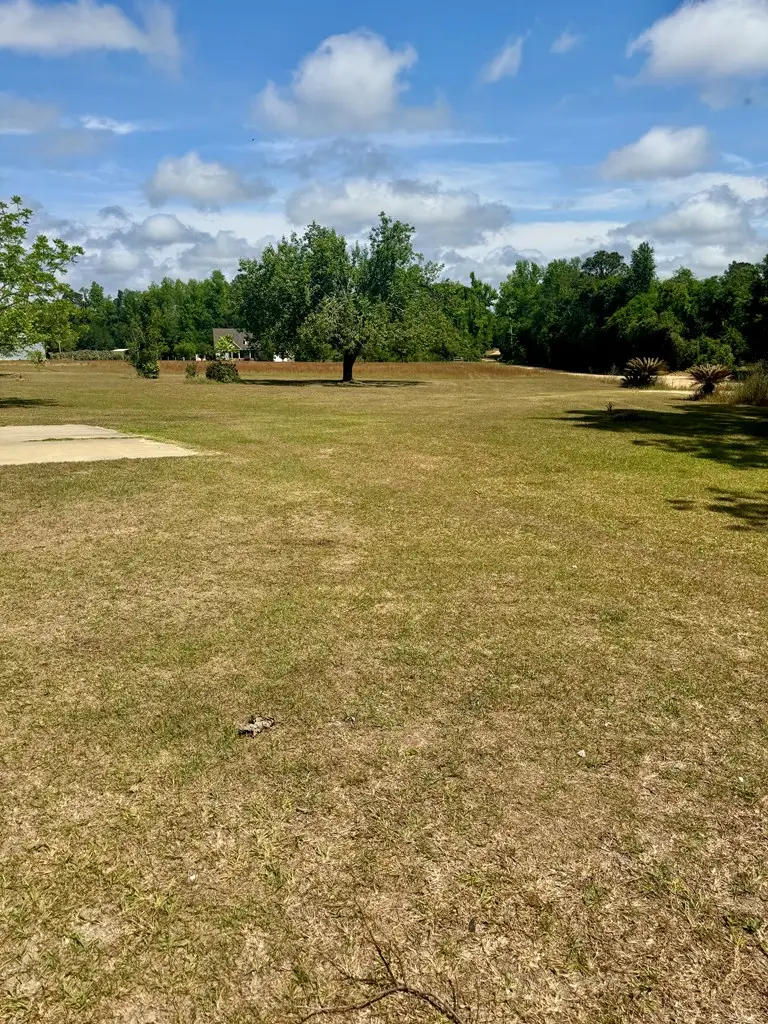 6155 Peters Road, Ray City, GA 31645 - #2