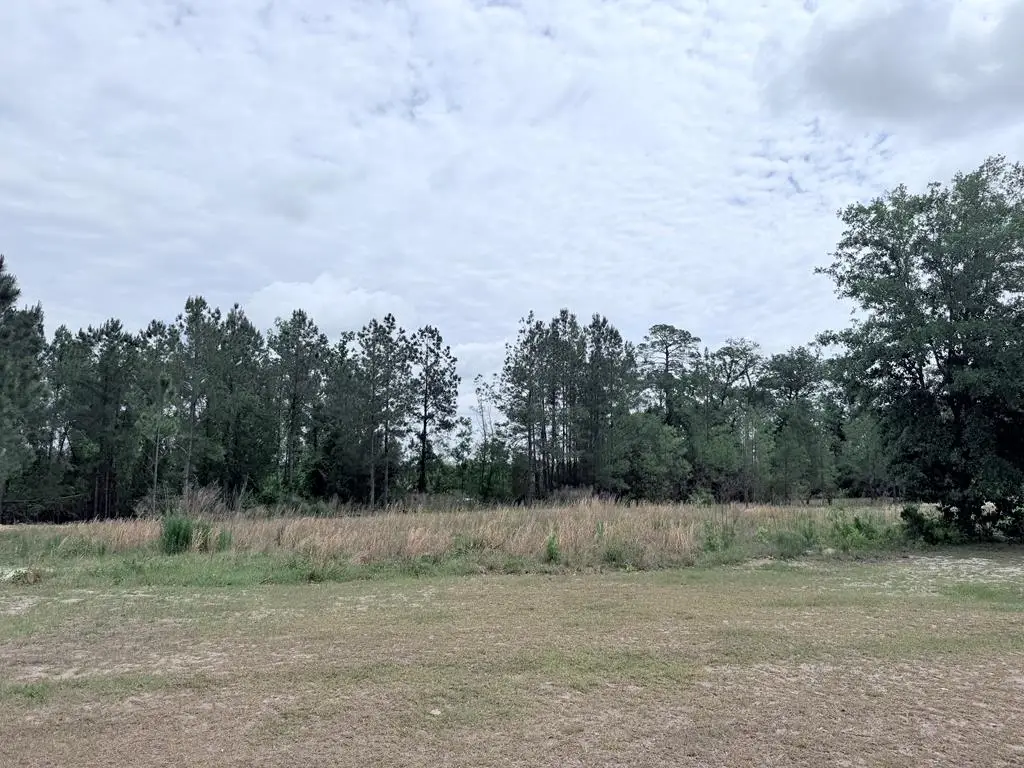 3882 Timber Ridge Rd, Valdosta, GA 31601 - #1