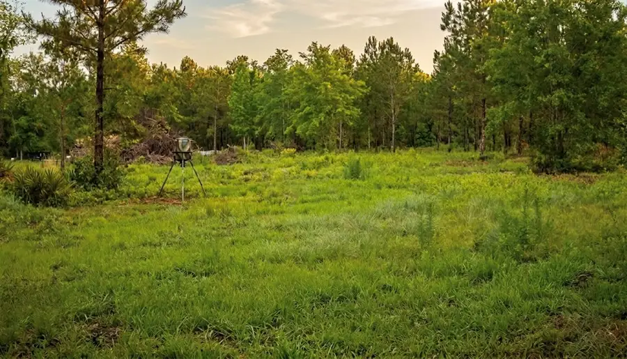 0 Beatty Mill Circle, Valdosta, GA 31605 - #3