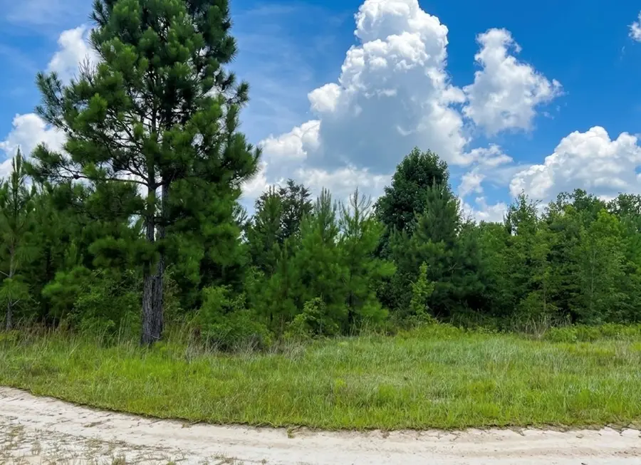 0 Beatty Mill Circle, Valdosta, GA 31605 - #2