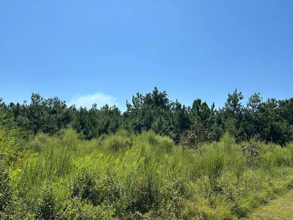 TBD Butler Lane, Valdosta, GA 31606 - #1