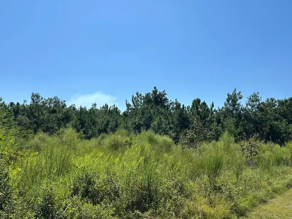 TBD Butler Lane, Valdosta, GA 31606