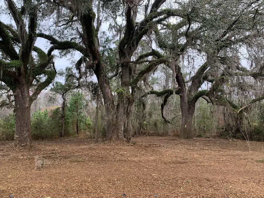 Lot 14 Seckinger Road, Valdosta, GA 31601 - #3