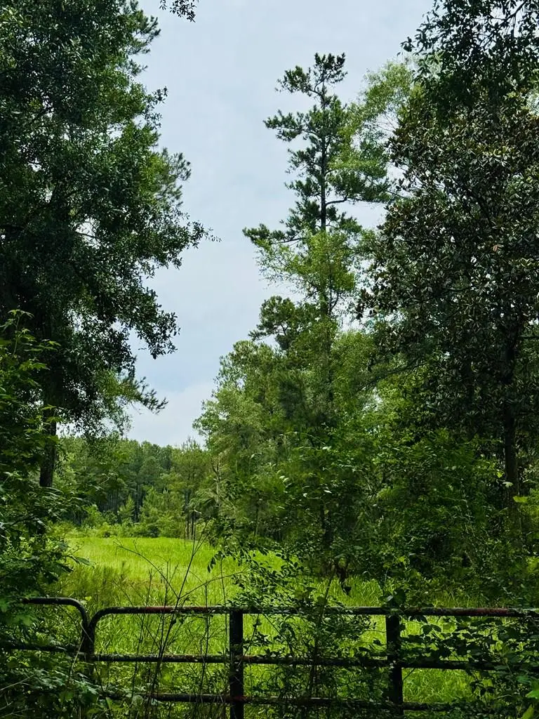 00 Devane Road, Quitman, GA 31643 - #1
