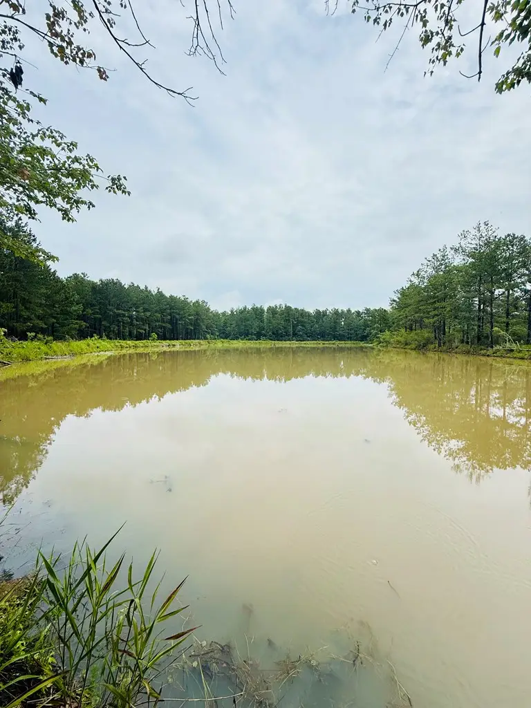 00 Devane Road, Quitman, GA 31643 - #3