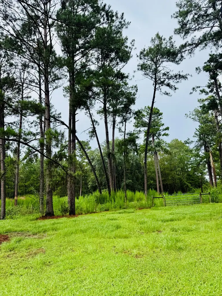 4546 Mt Zion Road, Valdosta, GA 31601 - #1