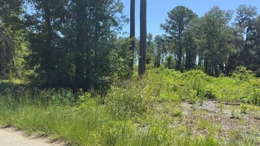 0 S Johnson Road, Valdosta, GA 31601 - #3
