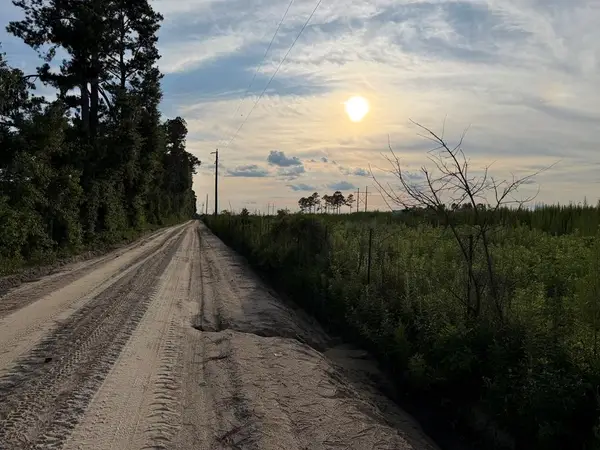 Tract 0 Conine Road, Lakeland, GA 31635