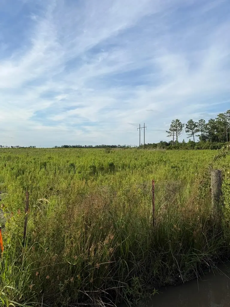 Tract 0 Conine Road, Lakeland, GA 31635 - #2