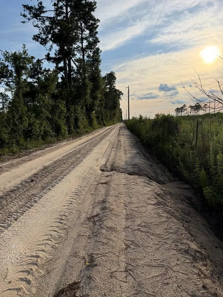 Tract 0 Conine Road, Lakeland, GA 31635 - #3