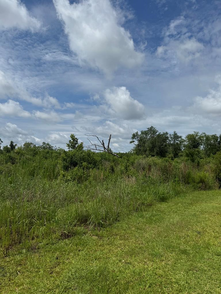 0 Wright Road, Naylor, GA 31641 - #1