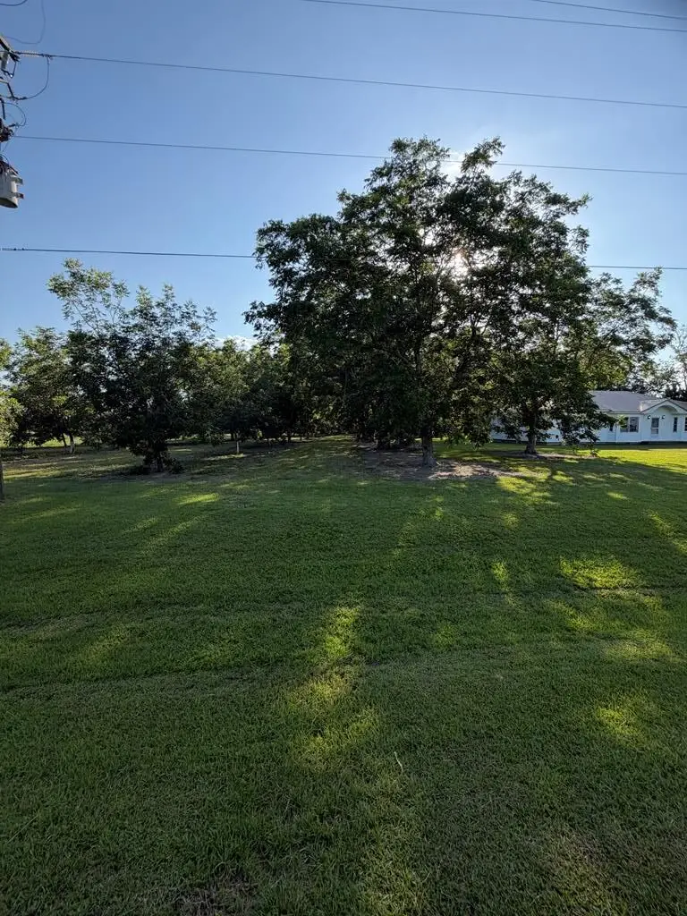 6203 Garner Rd, Nashville, GA 31639 - #3