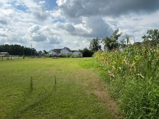 4180 Mcconnell Bridge Rd, Adel, GA 31620 - #2