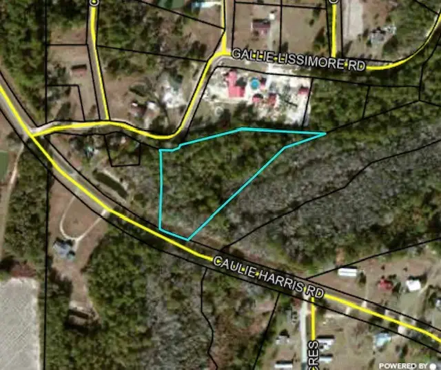 Lot 3 S Caulie Harris Rd., Adel, GA 31620 - #2
