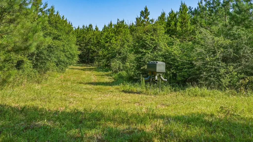 0 Harry Priddy Road, Americus, GA 31719 - #1