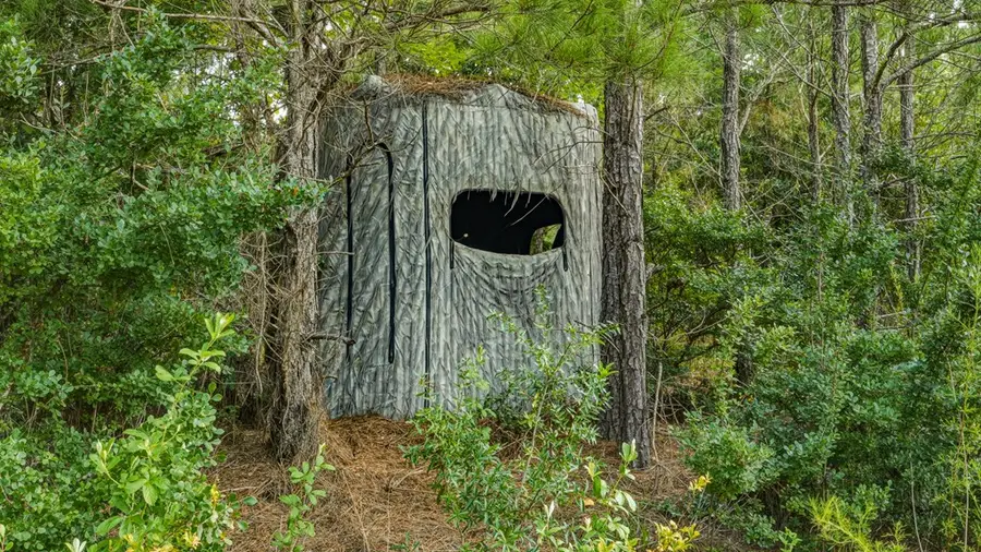 0 Harry Priddy Road, Americus, GA 31719 - #3