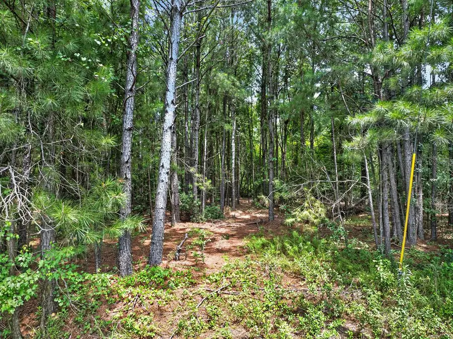 000 Farmingdon Drive, Adel, GA 31620 - #3