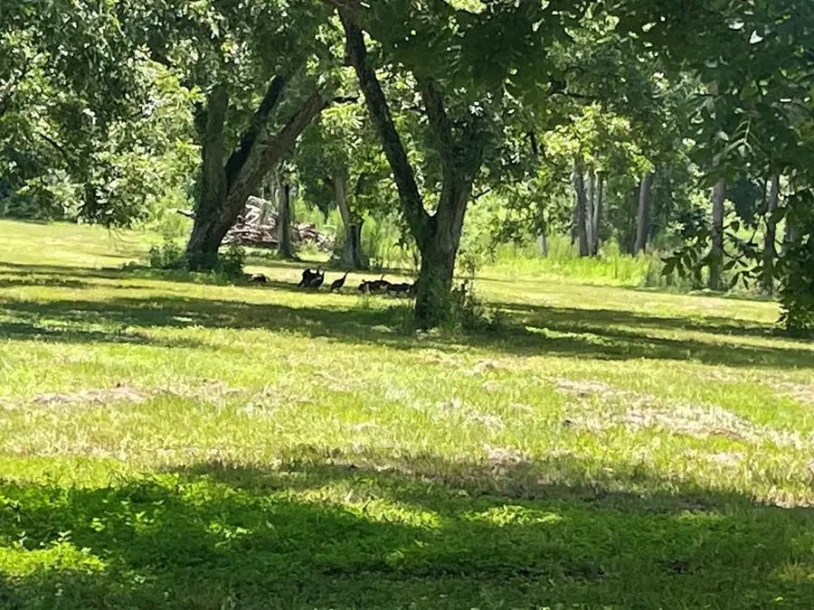 Address Withheld By Seller, Valdosta, GA 31601 - #3