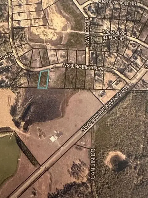 TBD Woodcliff Dr, Clyattville, GA 31601 - #1