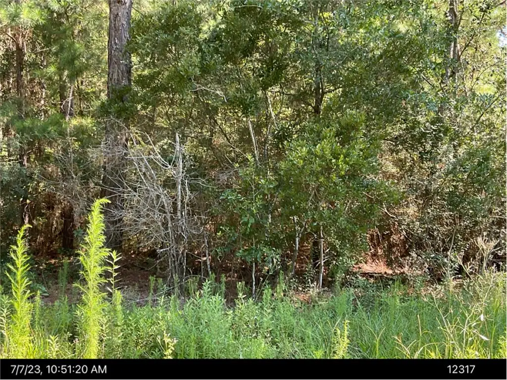 N/A Wanda Way, Tifton, GA 31794 - #1