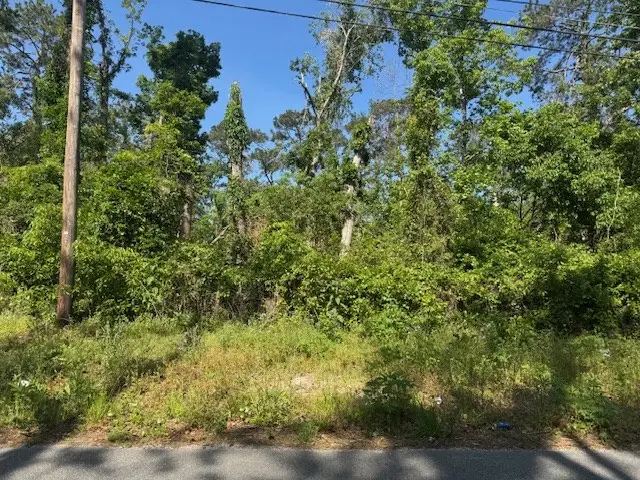 316 1/2 Blitch, Valdosta, GA 31601 - #2