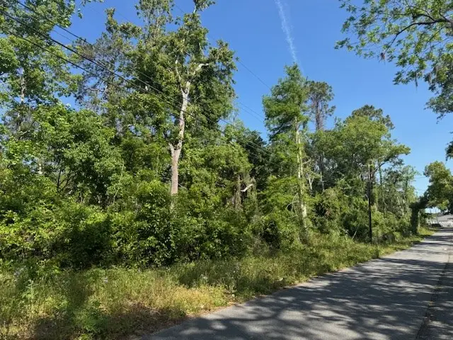 316 1/2 Blitch, Valdosta, GA 31601 - #3