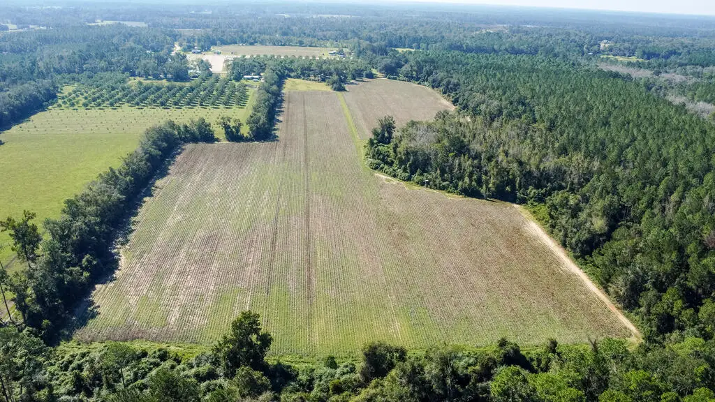 1555 Stalvey Road, Hahira, GA 31632 - #1