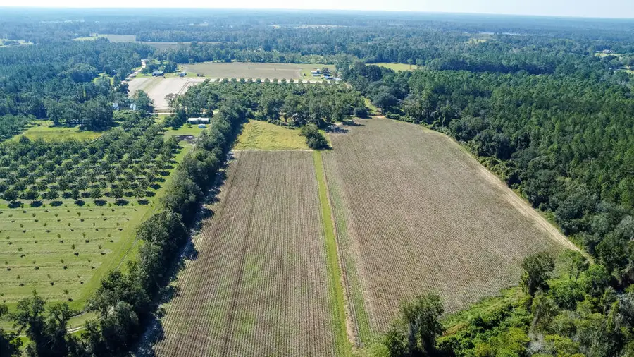 1555 Stalvey Road, Hahira, GA 31632 - #3