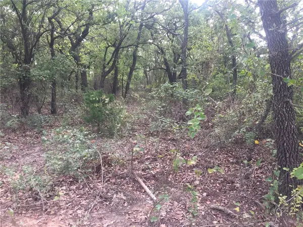 000 Starr Mann, St Jo, TX 76265
