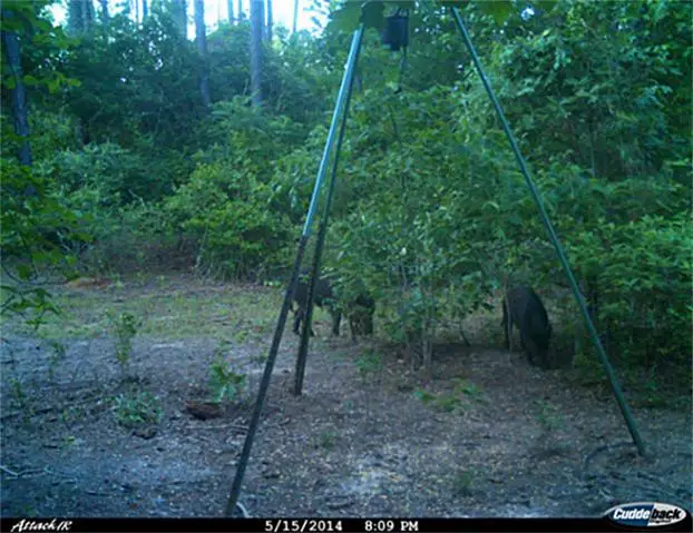 905 W Main Street, Ore City, TX 75683 - Image #3