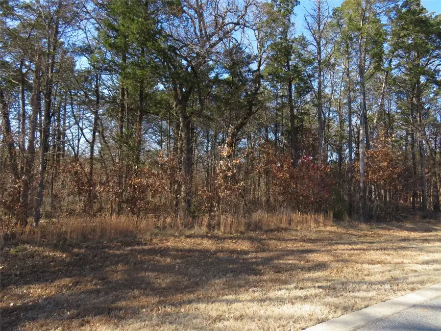 3 Annadale Lane, Gordonville, TX 76245 - Image #3