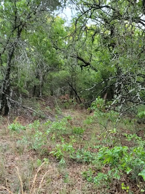 00000 Hwy 59 S, Bowie, TX 76230 - Image #3