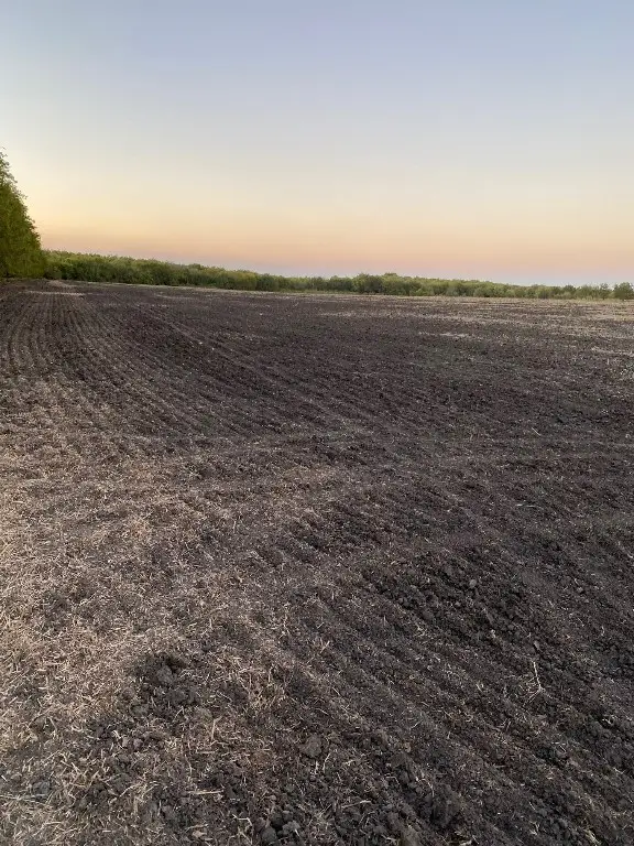 TRACT-4 County Rd 4410 #Lot 4, Whitewright, TX 75491