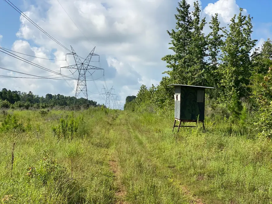 TBD County Road 394, Tatum, TX 75691 - Image #3