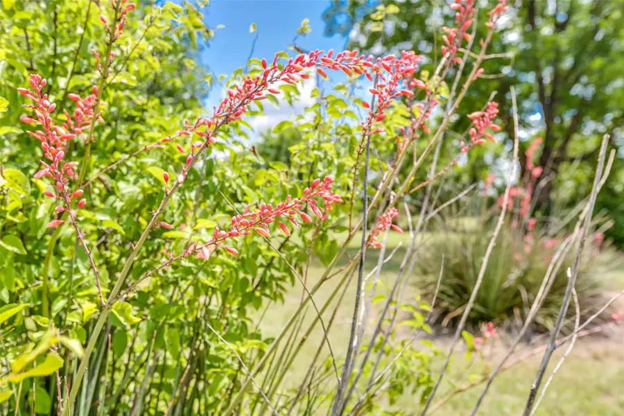 718 County Rd, Ovalo, TX 79541 - Image #2