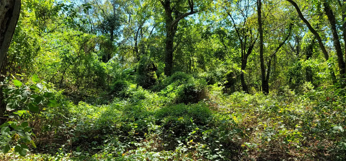 101 Will Street, Waxahachie, TX 75165 - Image #1