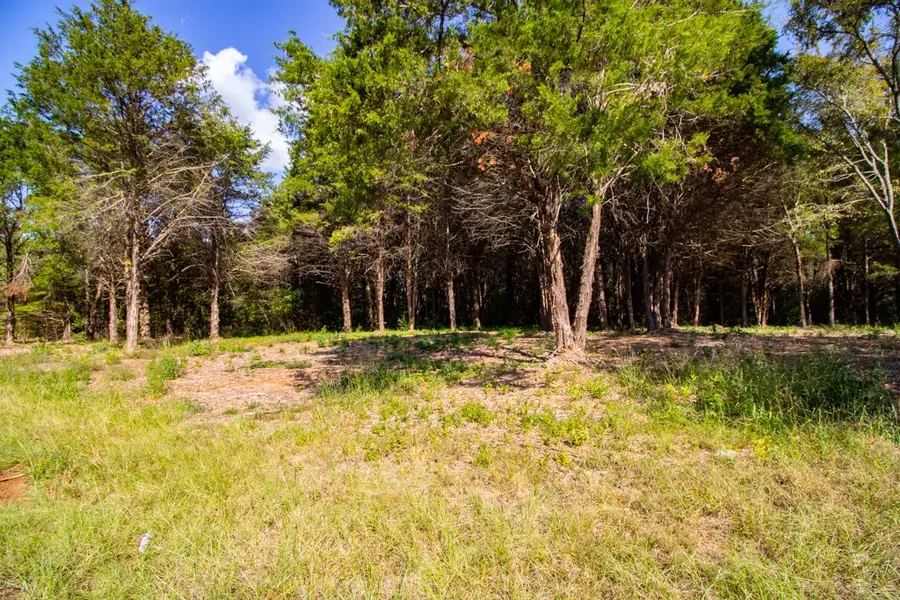 TBD Cr 4173, Tyler, TX 75704 - Image #2