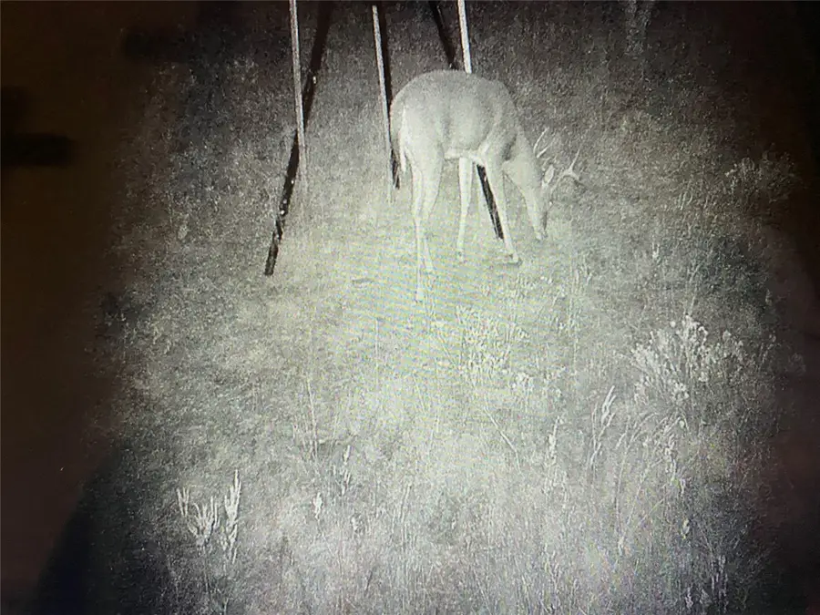 TBD Hwy 36 E. Tract 1, Jonesboro, TX 76538 - Image #3