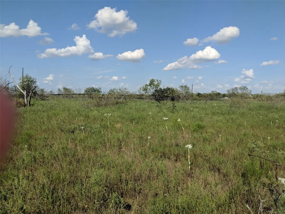 TBD Hwy 36 E. Tract 2, Jonesboro, TX 76538 - Image #1