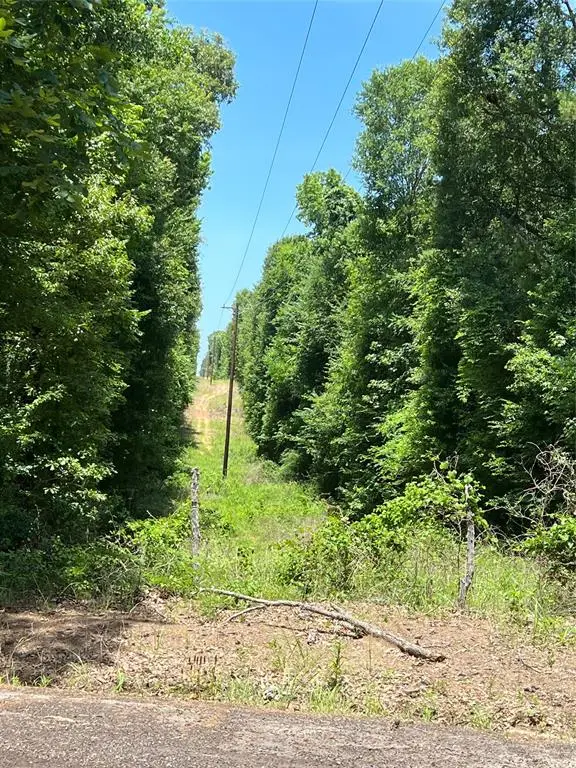 TBD Cr 1670, Mount Pleasant, TX 75455 - Image #2