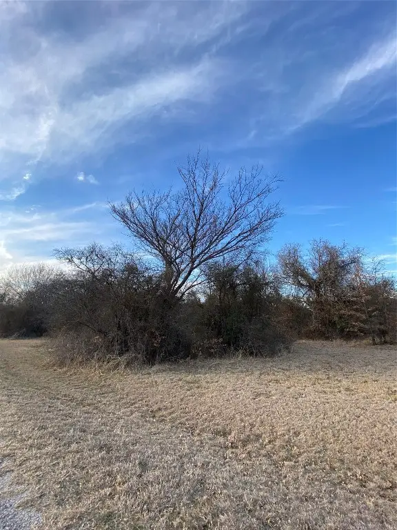 Lot 7 Port O Call Drive, Runaway Bay, TX 76426 - #2