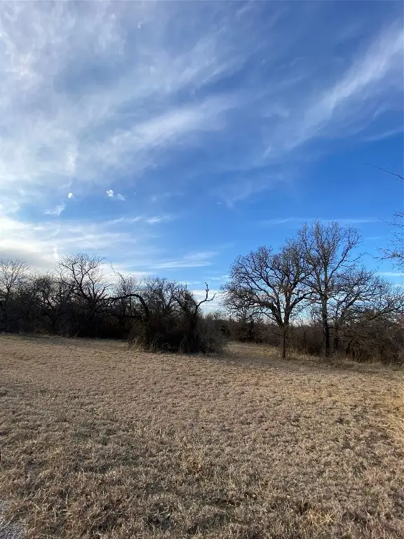 Lot 9 Port O Call Drive, Runaway Bay, TX 76426 - #3