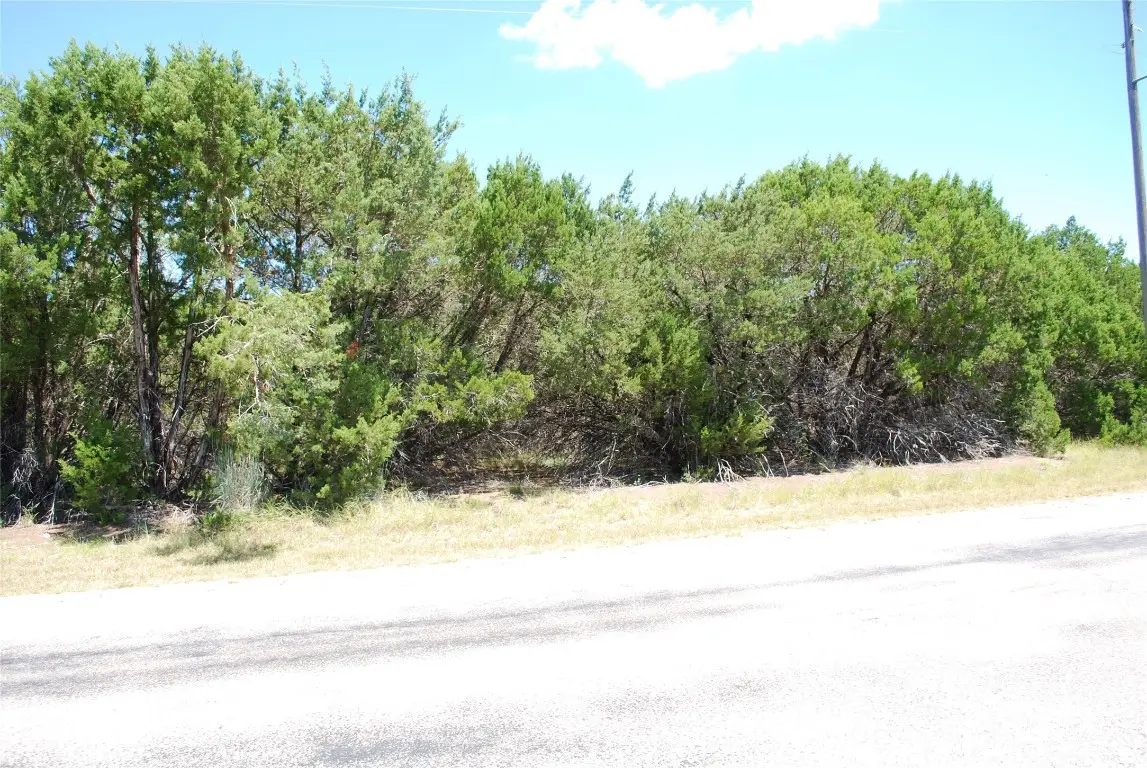 8183 Cedar Crest Drive, Whitney, TX 76692 - #1