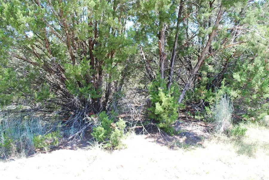 8183 Cedar Crest Drive, Whitney, TX 76692 - #2